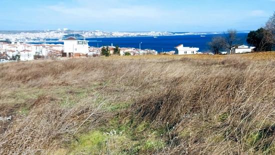 Coupon Land With Full Sea And Nature Views, Infrastructure Is Ready, Start Construction Now