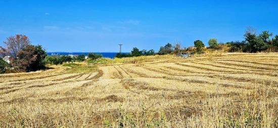 615 M2 Bargain Corner Plot Close To Asyaport