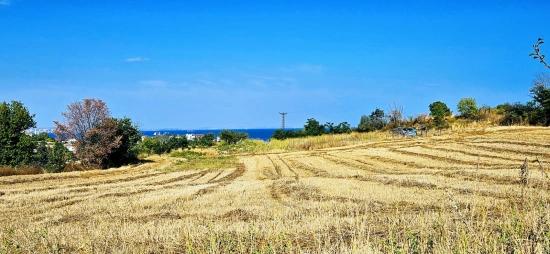 615 M2 Bargain Corner Plot Close To Asyaport