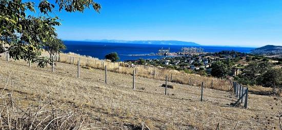 High Profit Guarantee For Those Who Want To Buy And Sell Urgent Sale Due To Cash Needs