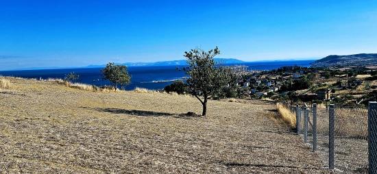 High Profit Guarantee For Those Who Want To Buy And Sell Urgent Sale Due To Cash Needs