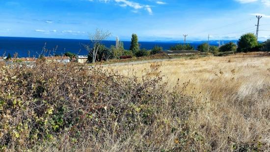 Triplexs Land Is A Great Opportunity For Those Who Want To Build A Detached House With Small Capital