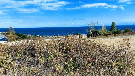 Triplexs Land Is A Great Opportunity For Those Who Want To Build A Detached House With Small Capital