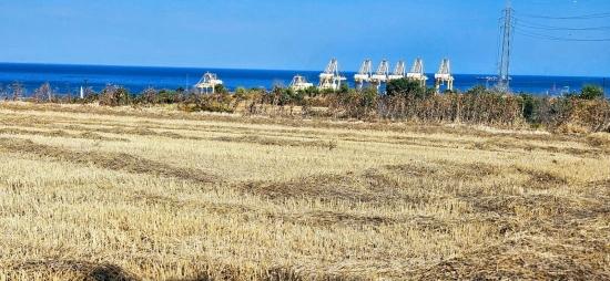 8,500 M2 Residential Land With High Profit Promise, Close To Asyaport Port
