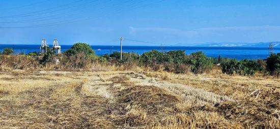 8,500 M2 Residential Land With High Profit Promise, Close To Asyaport Port
