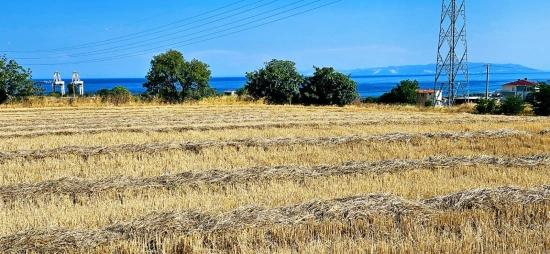 8,500 M2 Residential Land With High Profit Promise, Close To Asyaport Port