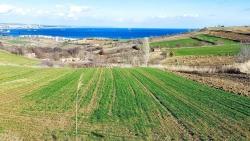 Land Suitable For 8 Villa Projects With Full Sea And Nature Views In Tekirdağ Barbarosta
