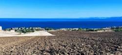 Terrain For Sale in Barbaros Nbh. Süleymanpaşa Kumbağ - Housing Zoned - 4.357 m²
