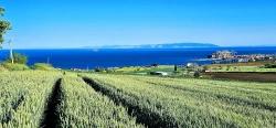 Land Suitable For Cooperative And Site Projects With 50 Apartments And Full Sea And Nature Views