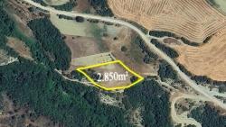 Detached Parcel, Not A Single Title Deed, Very Close To The Village Zoning Boundary, Urgent Sale, Search For Opportunity