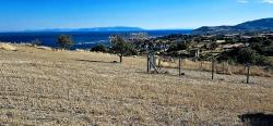 Land For Sale in Barbaros Nbh. Süleymanpaşa Kumbağ - Housing Zoned - 758 m²