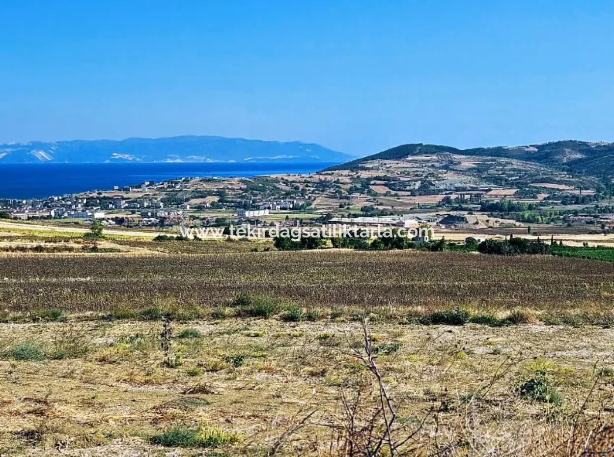 Asyaport Port Is Within The Current Zoning Plan ( Commercial