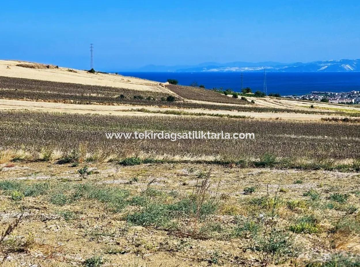 Asyaport Port Is Within The Current Zoning Plan ( Commercial