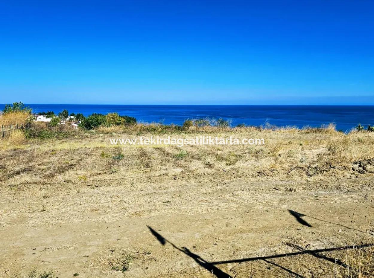 Coupon Land Suitable For Building A Detached House With Full Sea View For Urgent Sale In Tekirdag Barbarosta
