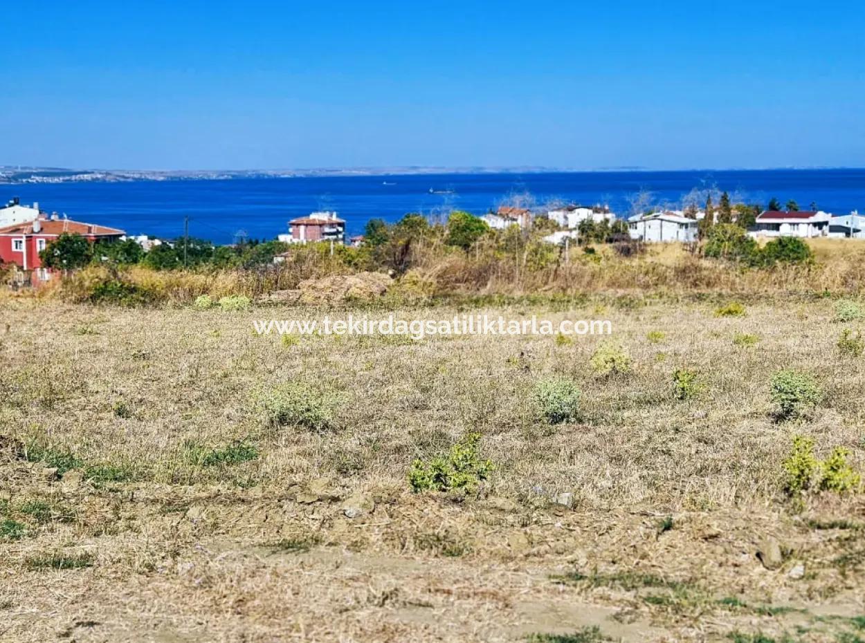 Coupon Land Suitable For Building A Detached House With Full Sea View For Urgent Sale In Tekirdag Barbarosta