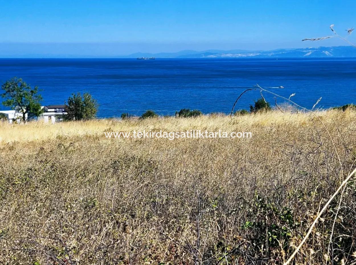 Coupon Land Suitable For Building A Detached House With Full Sea View For Urgent Sale In Tekirdag Barbarosta