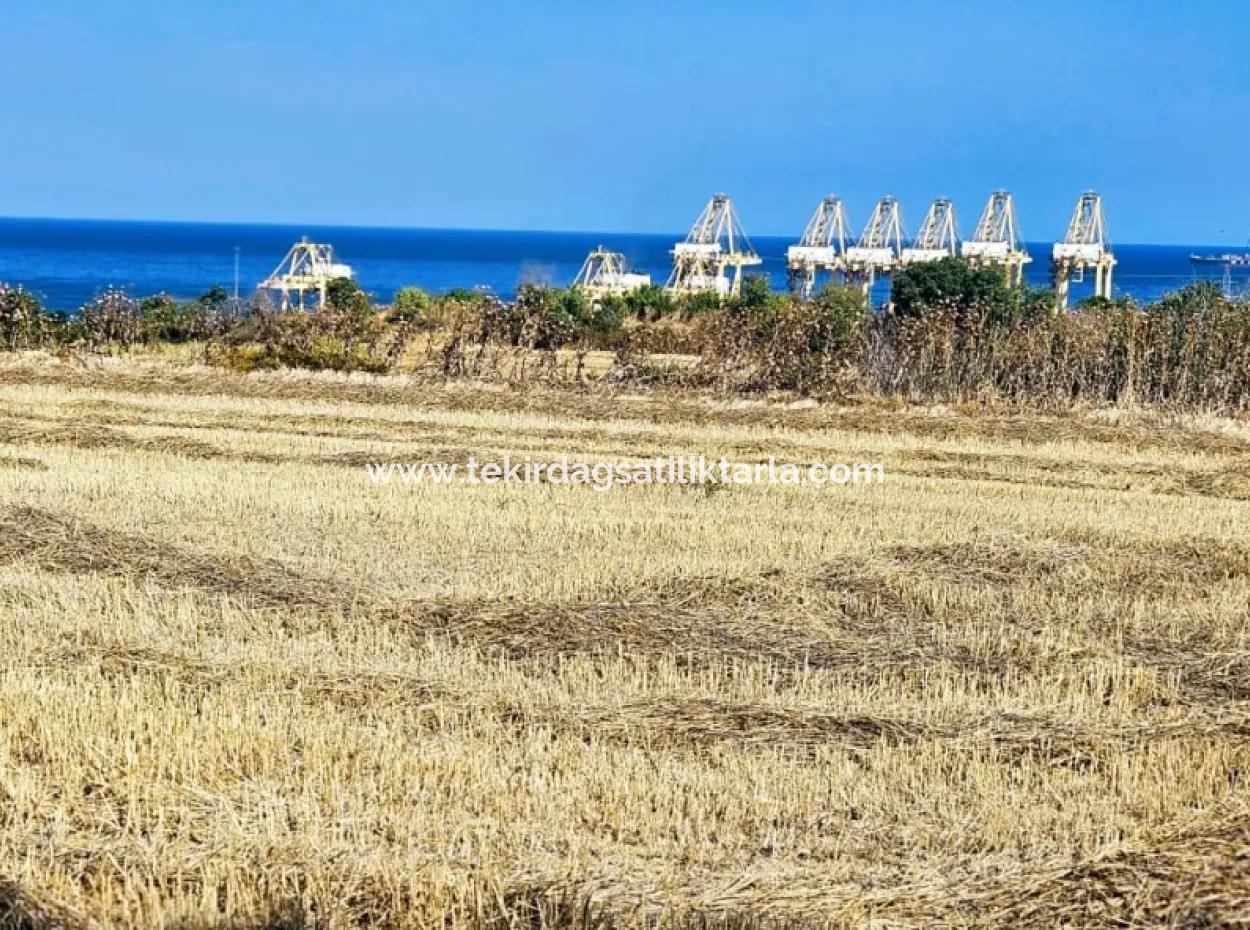 8.500 M2 Residential Zoned Coupon Field For Urgent Sale Close To Asyaport Port