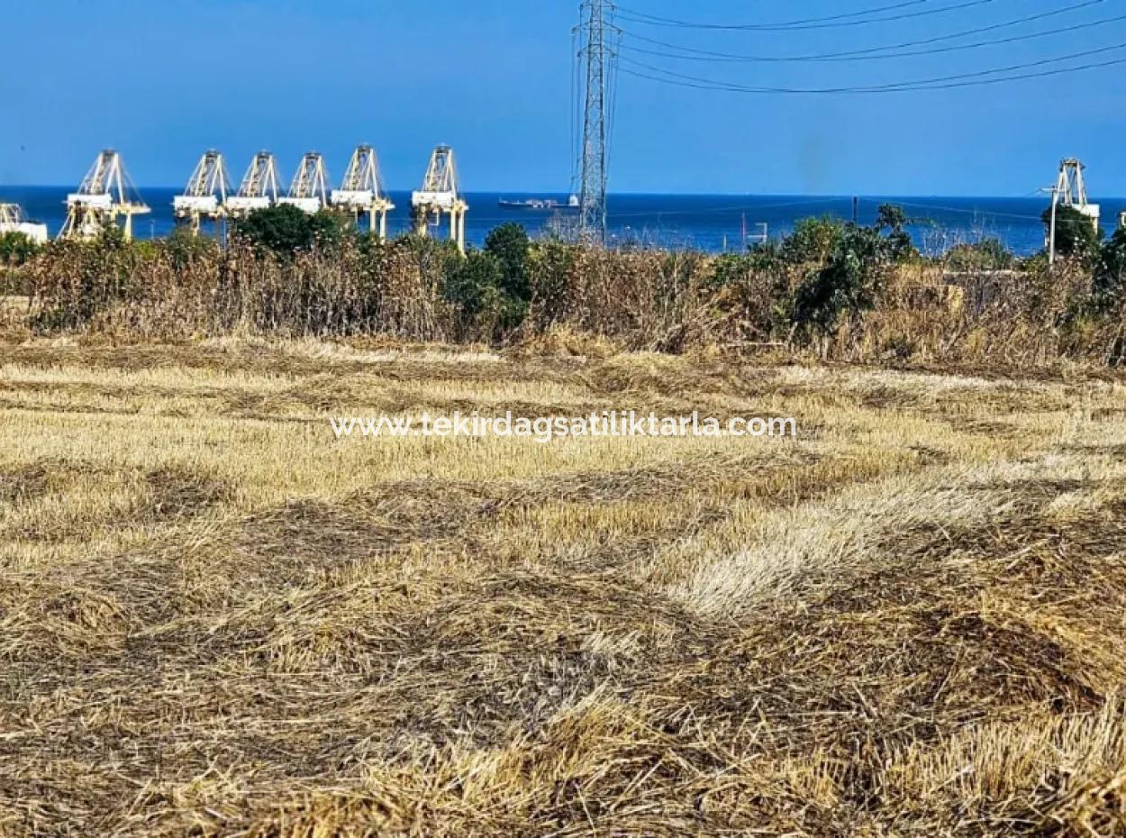 8.500 M2 Residential Zoned Coupon Field For Urgent Sale Close To Asyaport Port