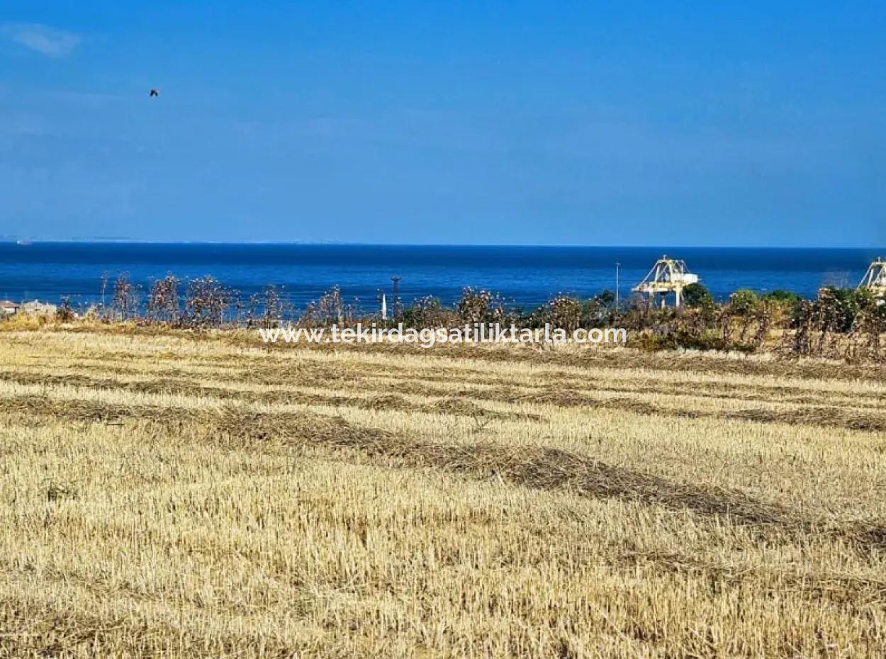 8.500 M2 Residential Zoned Coupon Field For Urgent Sale Close To Asyaport Port