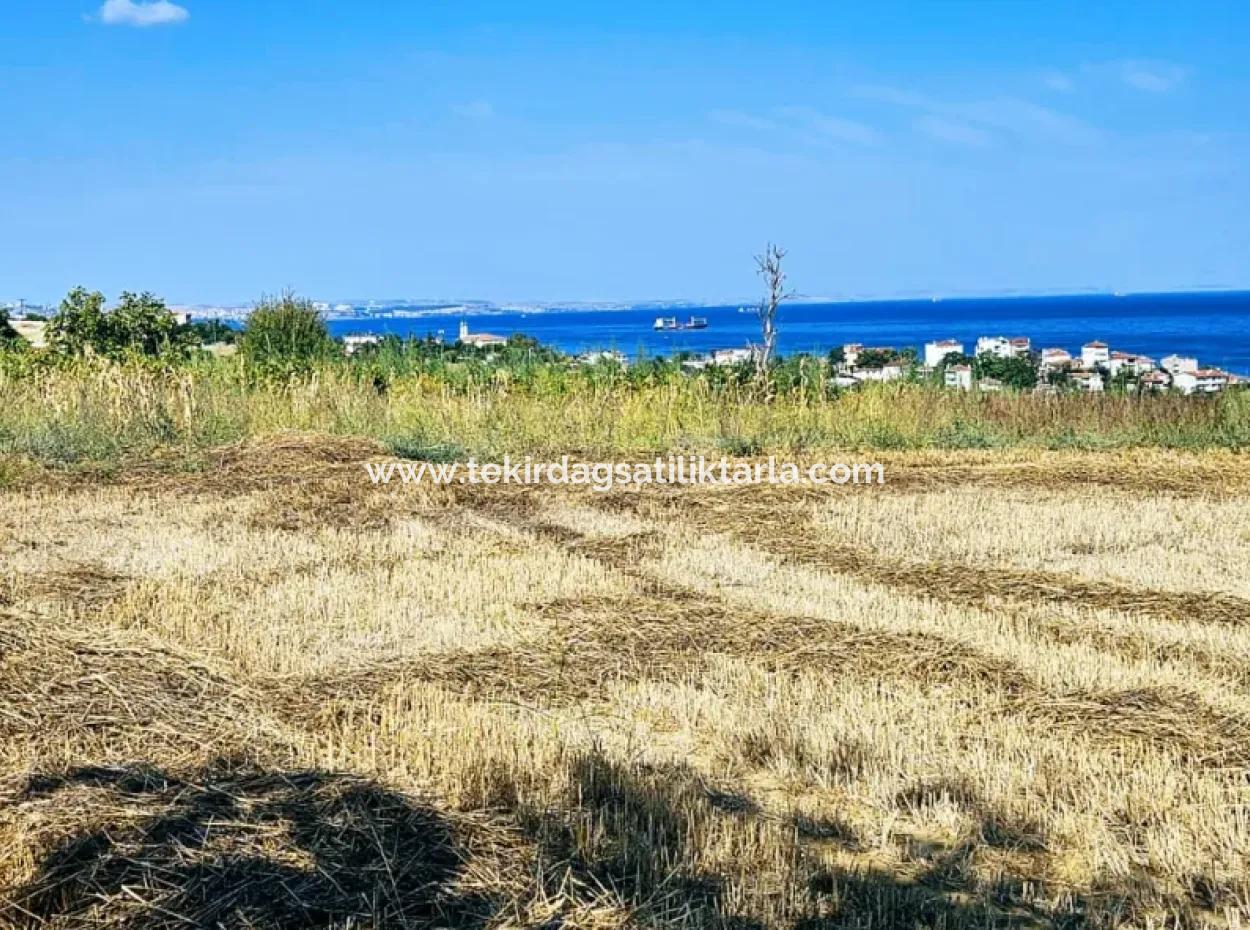 8.500 M2 Residential Zoned Coupon Field For Urgent Sale Close To Asyaport Port