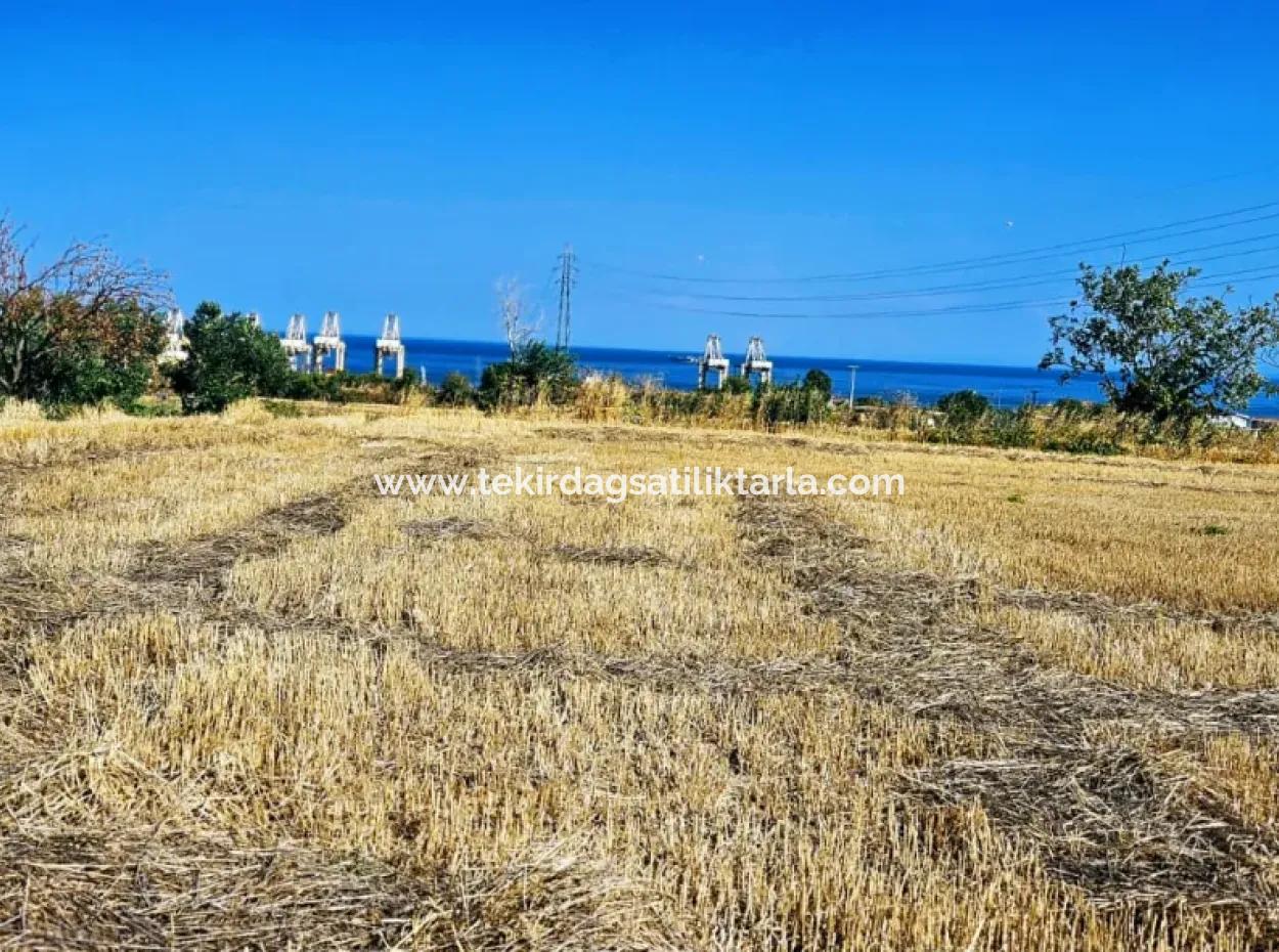 4.150 M2 Residential Zoned Field For Urgent Sale Just 1 Km From Asyaport Port