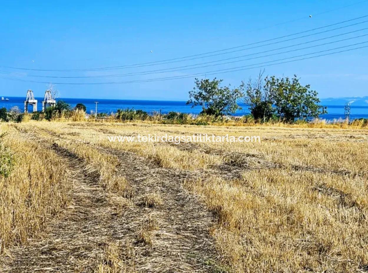 4.150 M2 Residential Zoned Field For Urgent Sale Just 1 Km From Asyaport Port