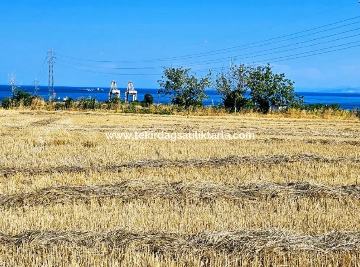 4.150 M2 Residential Zoned Field For Urgent Sale Just 1 Km From Asyaport Port