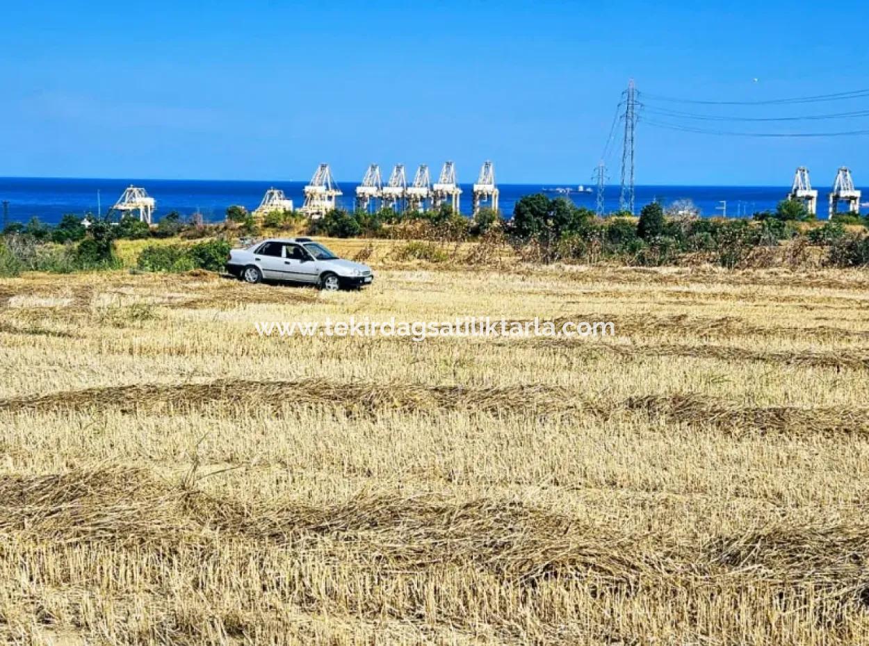 4.150 M2 Residential Zoned Field For Urgent Sale Just 1 Km From Asyaport Port