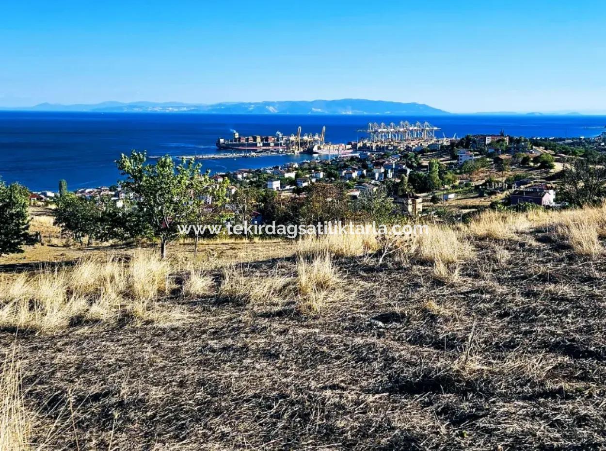 532 M2 Corner Plot For Sale In Tekirdag Süleymanpaşa Barbaros Neighborhood With Magnificent Sea And Nature Views