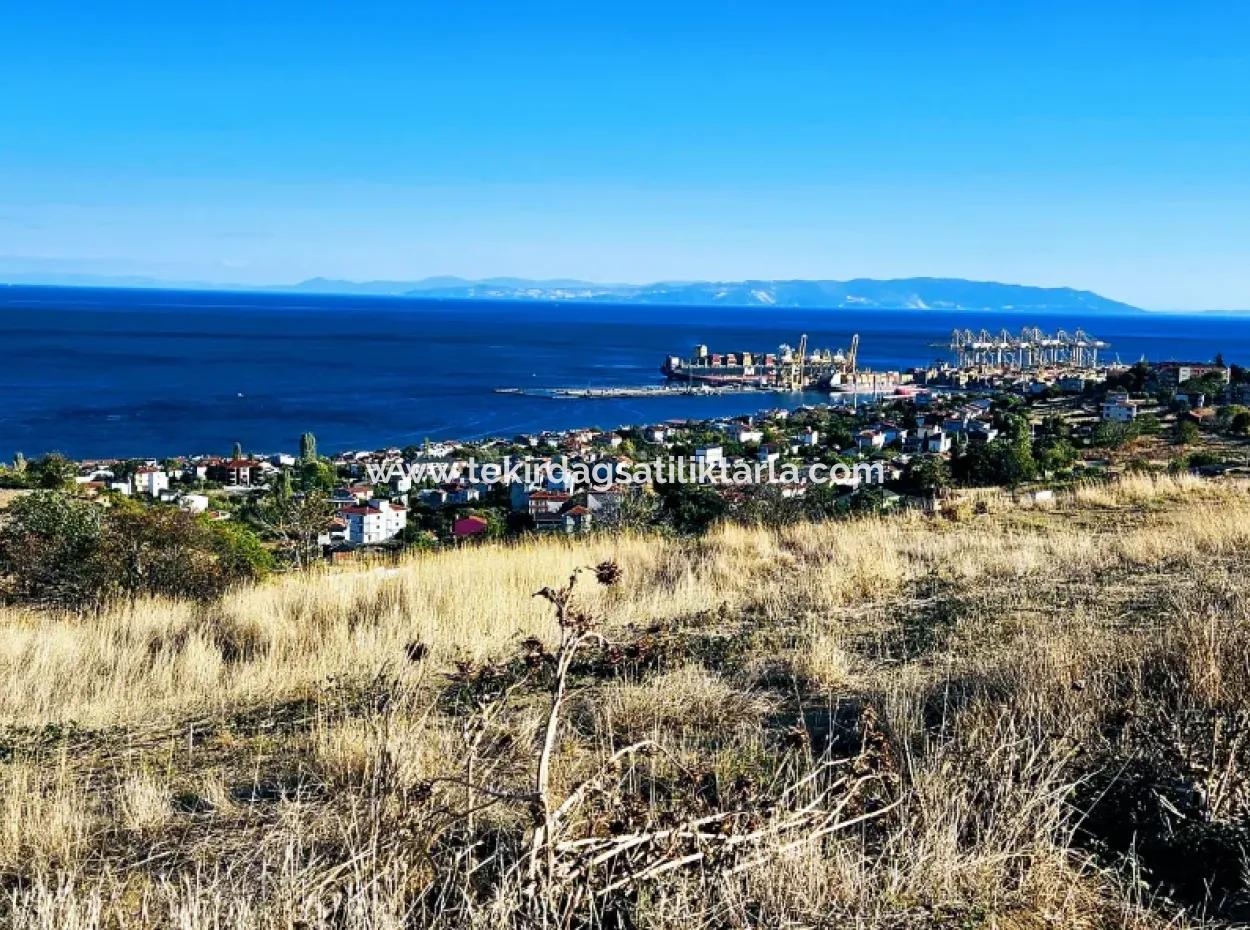 532 M2 Corner Plot For Sale In Tekirdag Süleymanpaşa Barbaros Neighborhood With Magnificent Sea And Nature Views