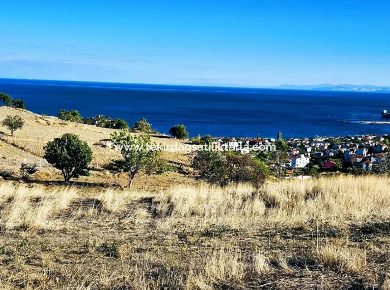532 M2 Corner Plot For Sale In Tekirdag Süleymanpaşa Barbaros Neighborhood With Magnificent Sea And Nature Views