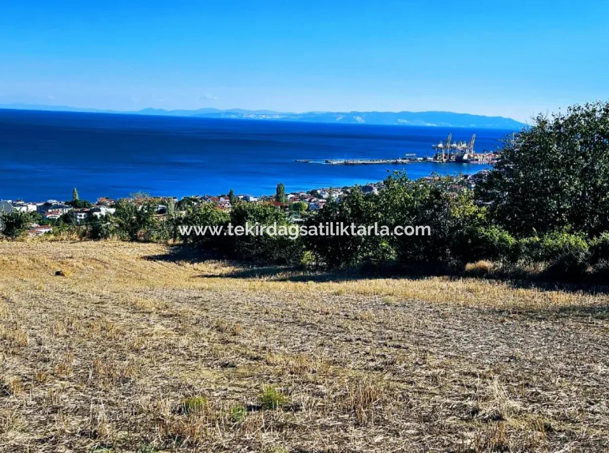 25 Flats With Full Sea View Coupon Place For Urgent Sale In Tekirdag Barbarosta
