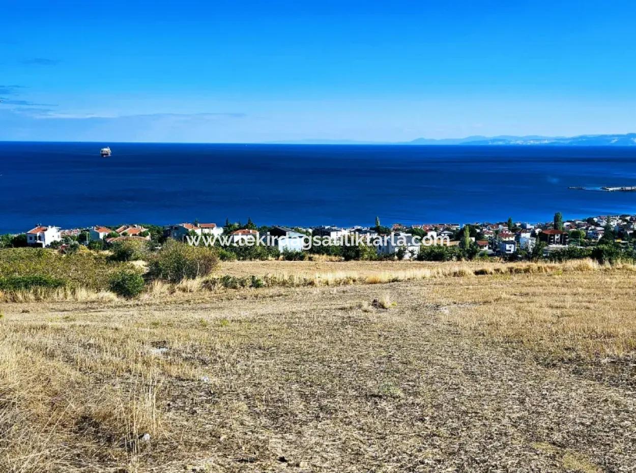25 Flats With Full Sea View Coupon Place For Urgent Sale In Tekirdag Barbarosta