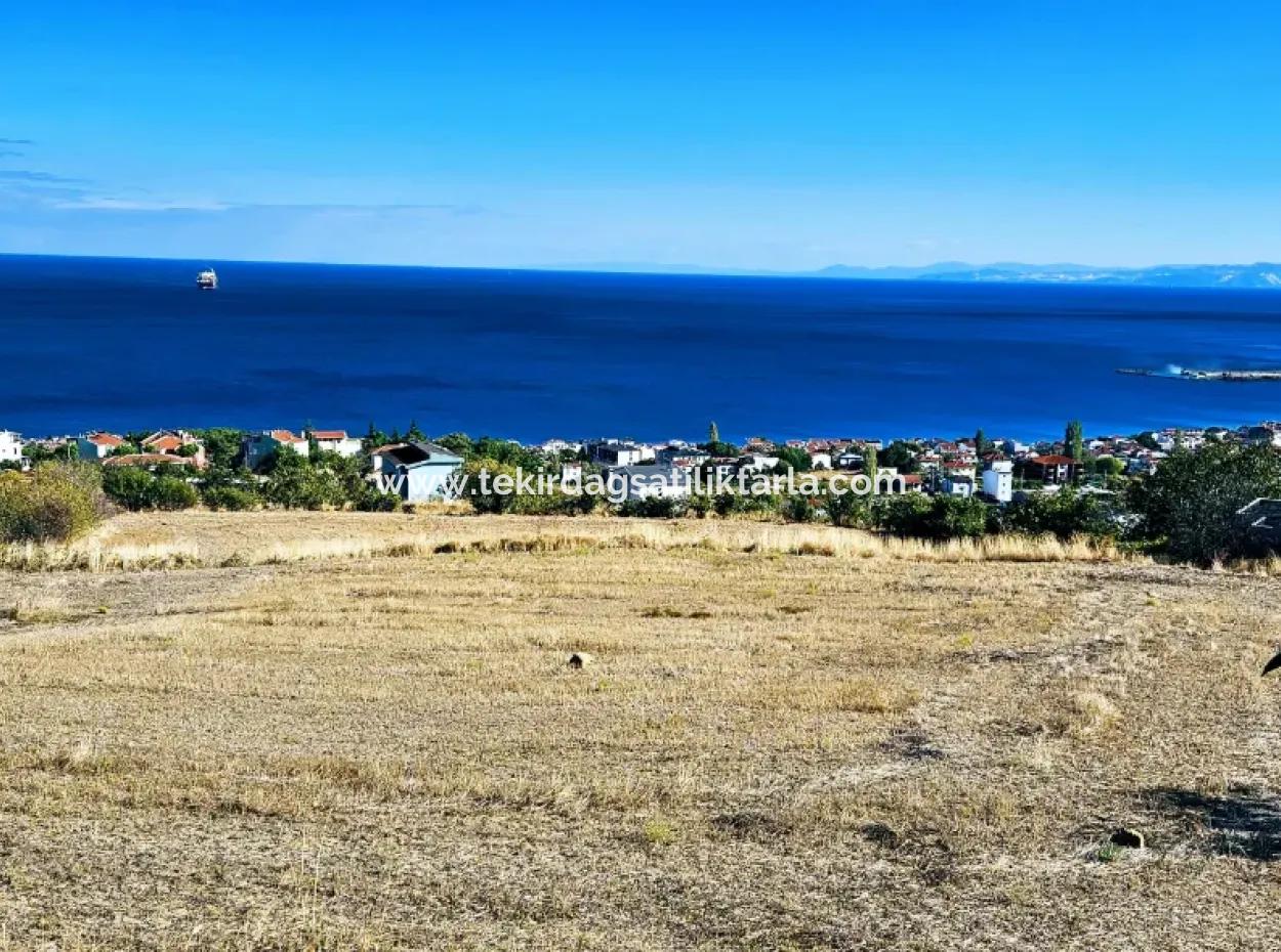 25 Flats With Full Sea View Coupon Place For Urgent Sale In Tekirdag Barbarosta