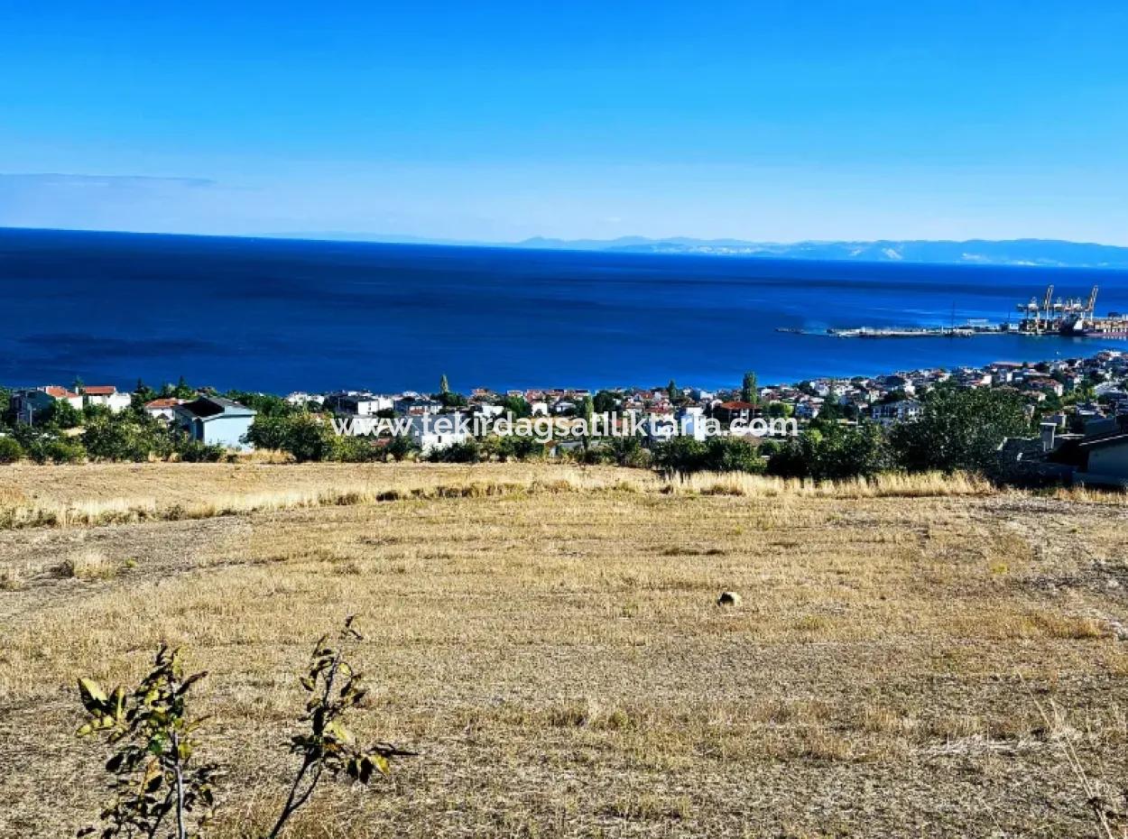 25 Flats With Full Sea View Coupon Place For Urgent Sale In Tekirdag Barbarosta
