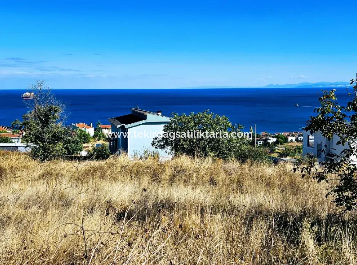 25 Flats With Full Sea View Coupon Place For Urgent Sale In Tekirdag Barbarosta