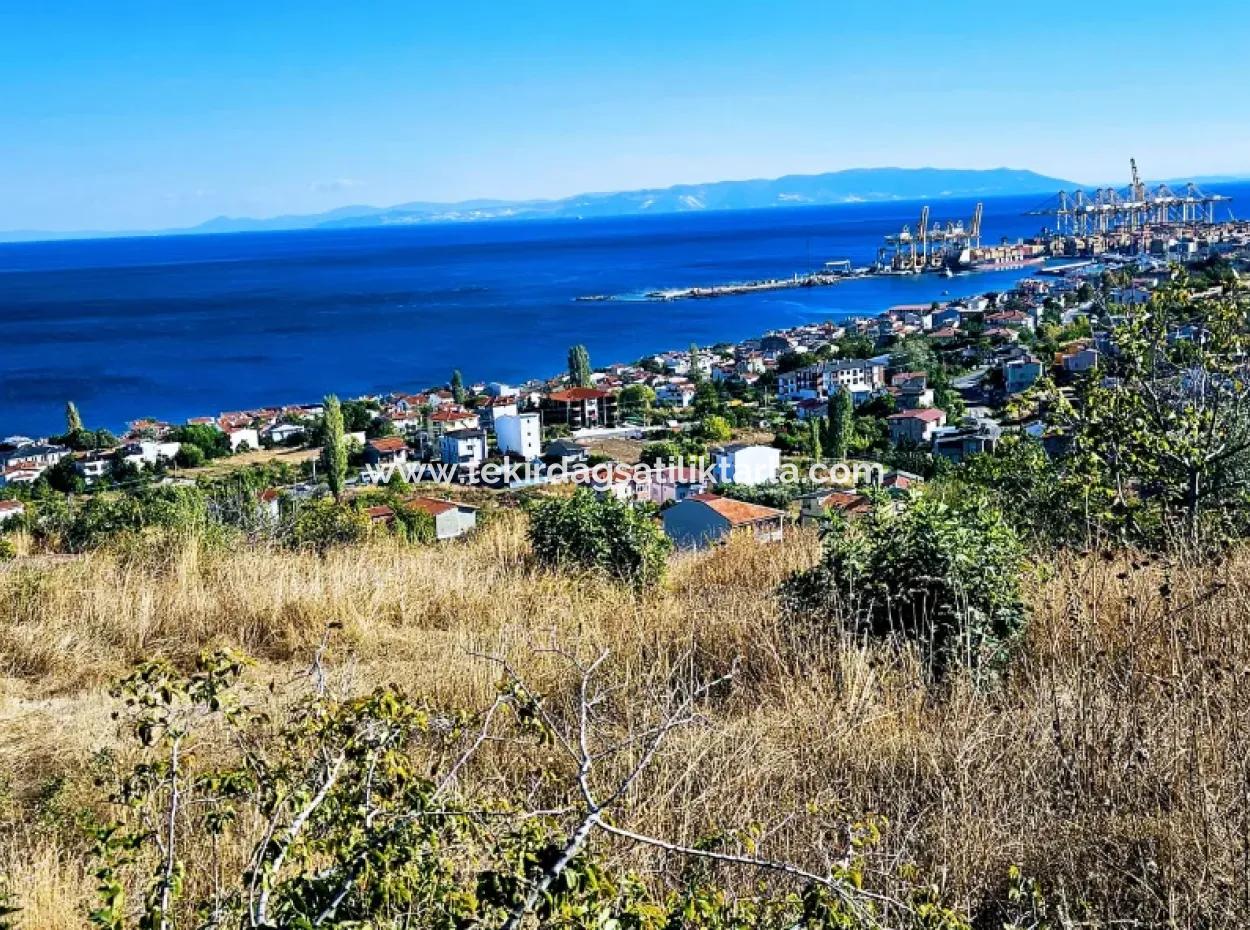 25 Flats With Full Sea View Coupon Place For Urgent Sale In Tekirdag Barbarosta