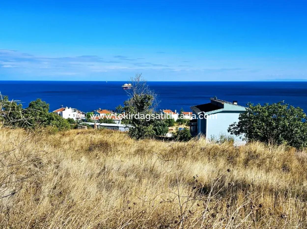 25 Flats With Full Sea View Coupon Place For Urgent Sale In Tekirdag Barbarosta