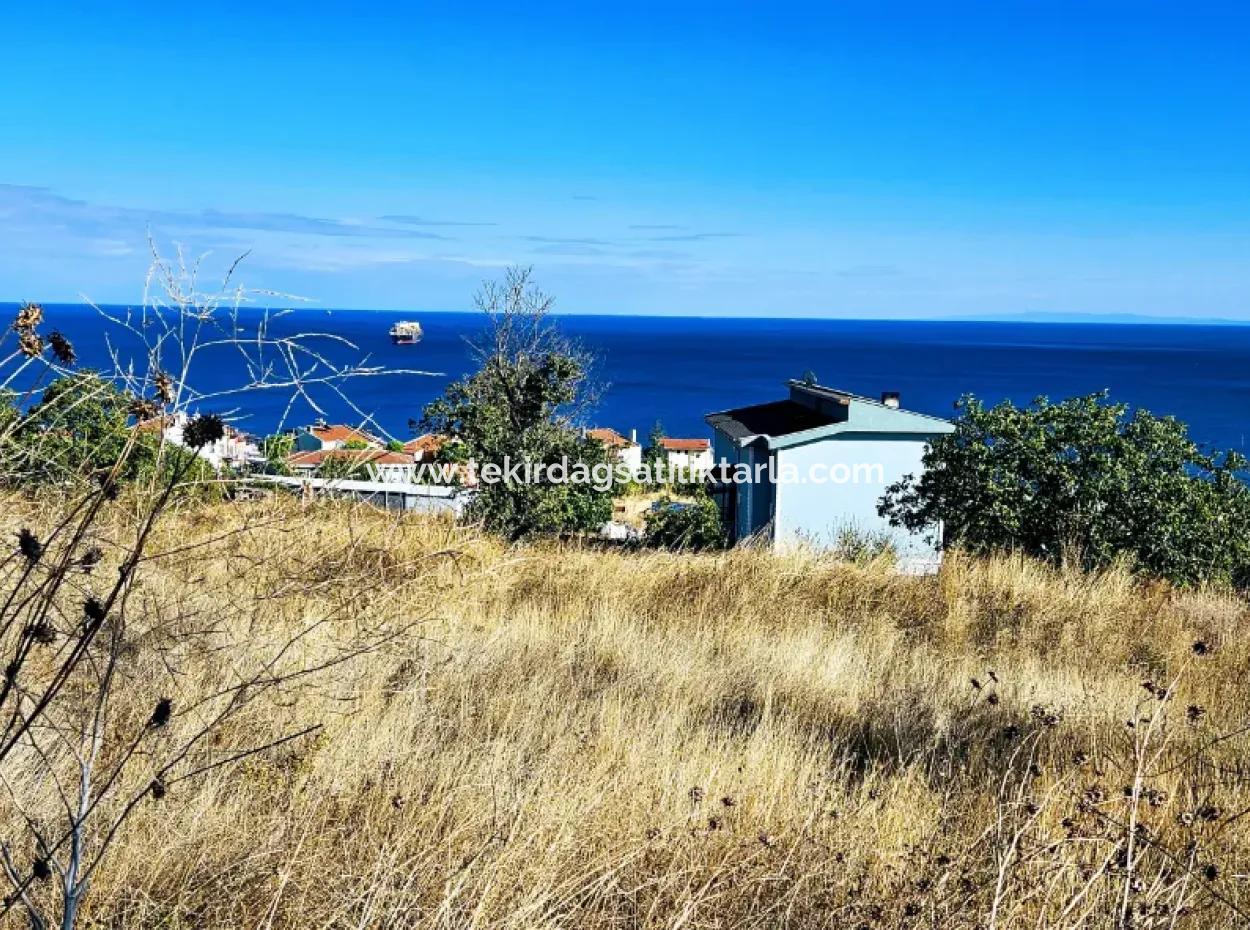 25 Flats With Full Sea View Coupon Place For Urgent Sale In Tekirdag Barbarosta