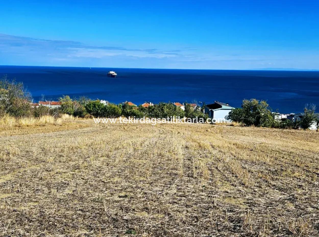 25 Flats With Full Sea View Coupon Place For Urgent Sale In Tekirdag Barbarosta