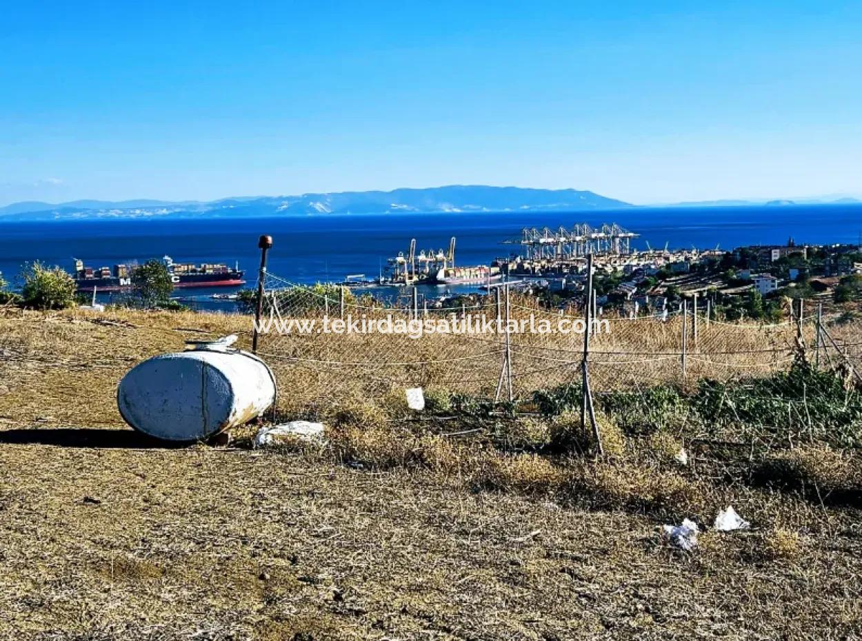 765 M2 Bargain Land With Full Sea View For Urgent Sale In Tekirdag Barbarosta