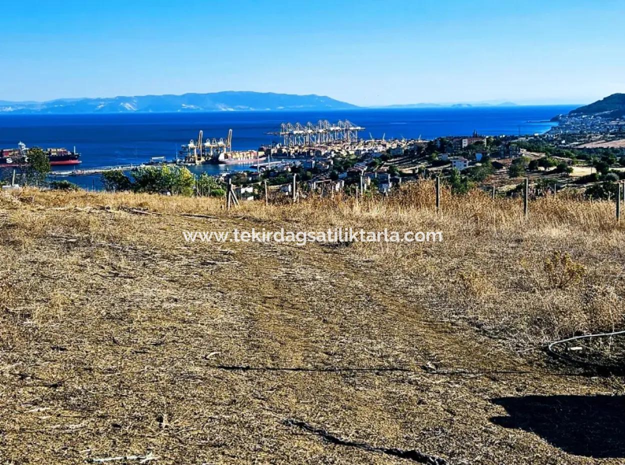 765 M2 Bargain Land With Full Sea View For Urgent Sale In Tekirdag Barbarosta