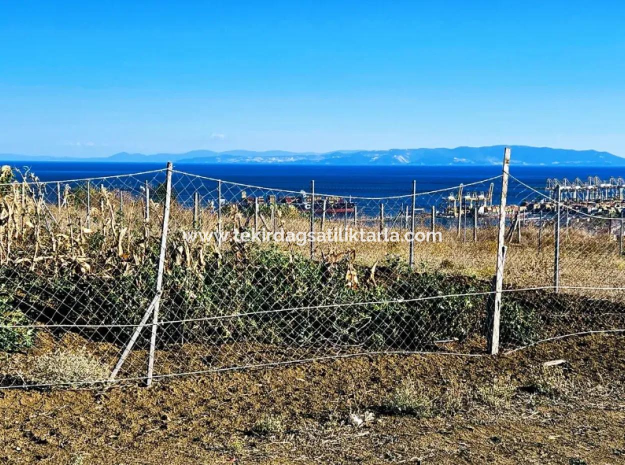 765 M2 Bargain Land With Full Sea View For Urgent Sale In Tekirdag Barbarosta