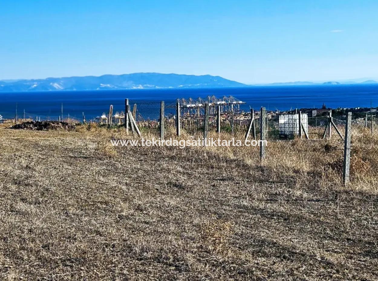 765 M2 Bargain Land With Full Sea View For Urgent Sale In Tekirdag Barbarosta