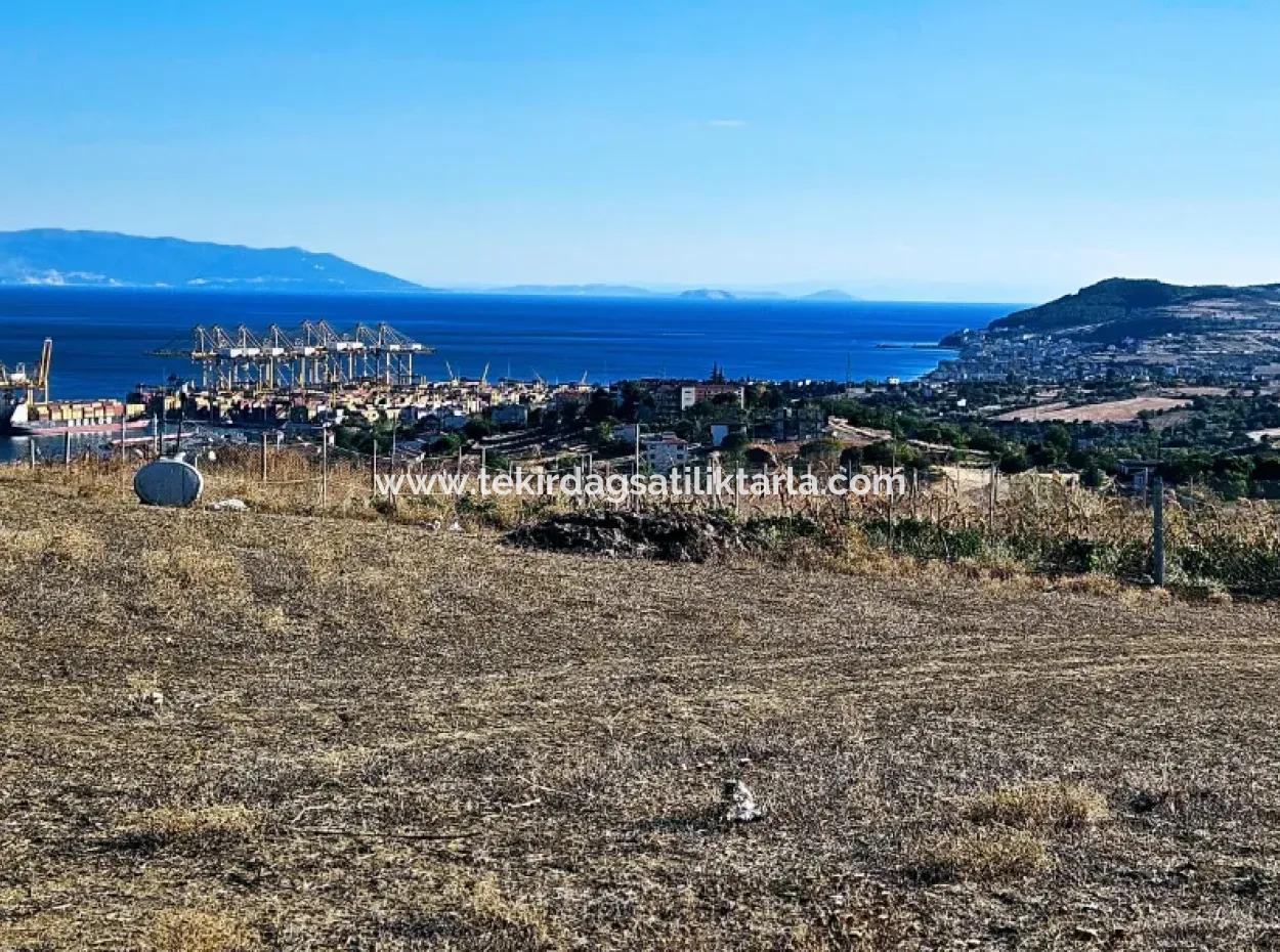 765 M2 Bargain Land With Full Sea View For Urgent Sale In Tekirdag Barbarosta