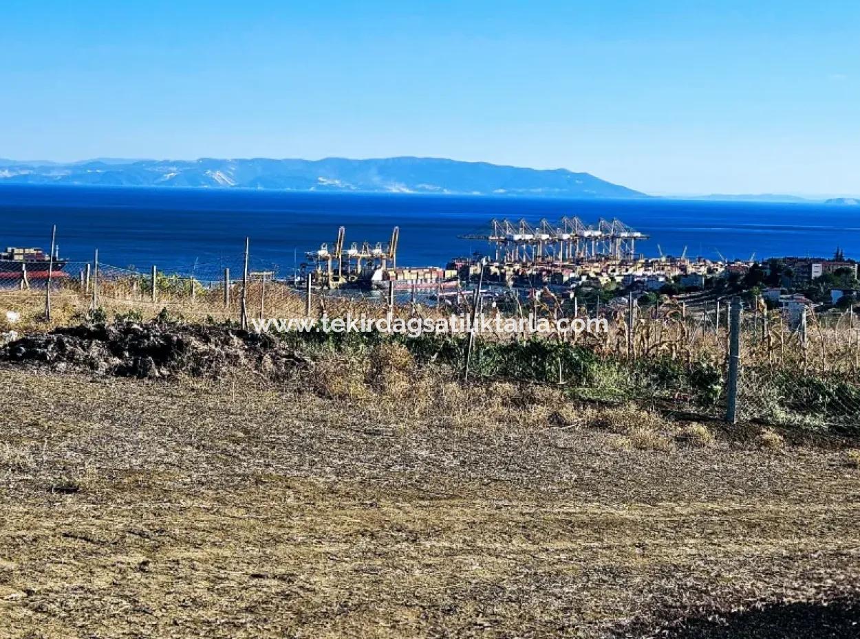 765 M2 Bargain Land With Full Sea View For Urgent Sale In Tekirdag Barbarosta