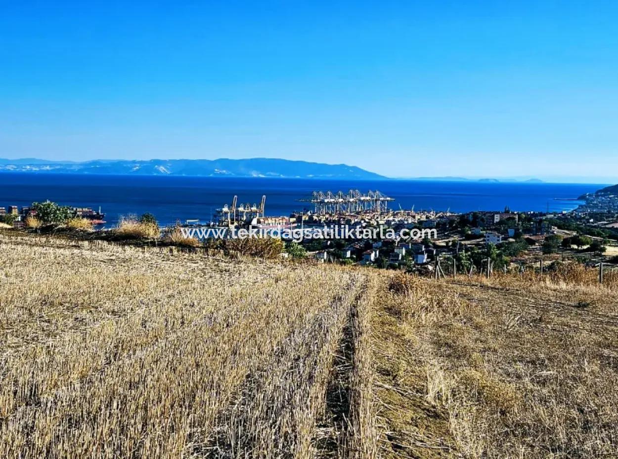 765 M2 Bargain Land With Full Sea View For Urgent Sale In Tekirdag Barbarosta