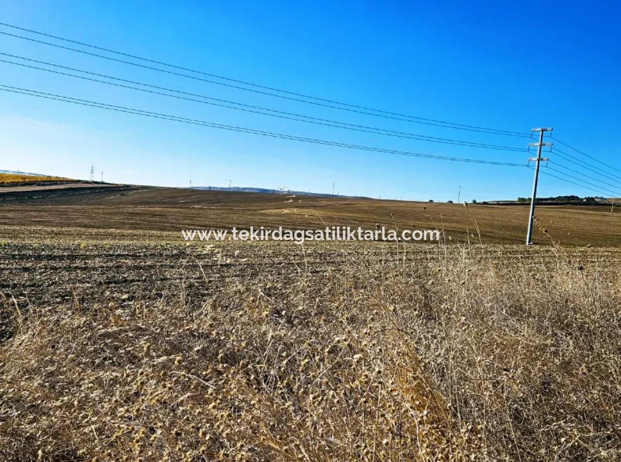 Asyaport Port Is Within The Current Zoning Plan ( Commercial