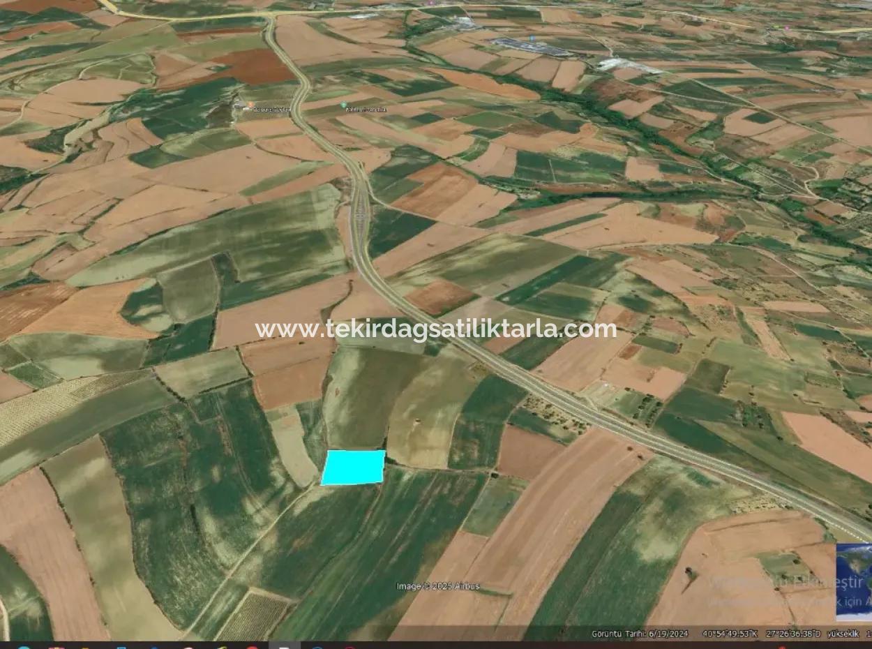 Asyaport Port Is Within The Current Zoning Plan ( Commercial