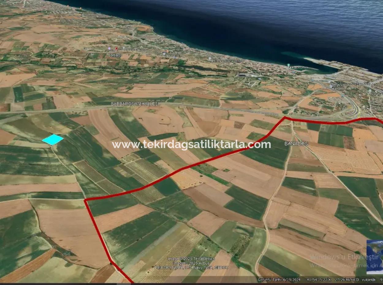 Asyaport Port Is Within The Current Zoning Plan ( Commercial